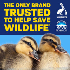 Dawn Platinum Liquid Dish Soap, Dishwashing Liquid, Grease Removal, Fresh Rain, 26.8oz